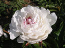 Madame de Vatry